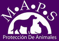 MAPS Charity Golf Competition