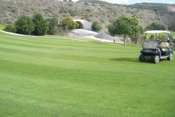 Marbella Golf Course - New Green position