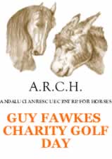 Guy Fawkes Charity Golf Day at Marbella Golf