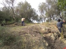 Golf course Marbella maintenance