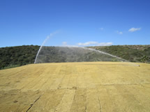 Golf course Marbella maintenance