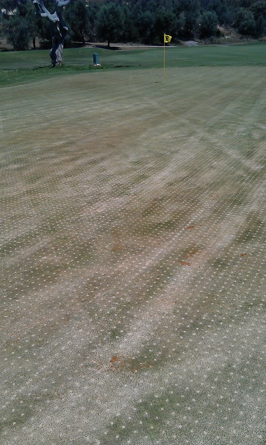 Marbella Golf maintenance